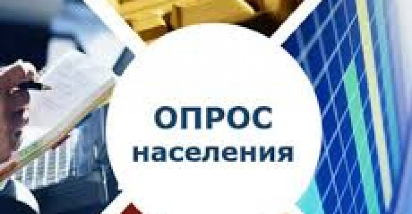Ульяновскстат в январе 2019 года приступает к проведению очередного раунда Выборочного наблюдения доходов населения и участия в социальных программах